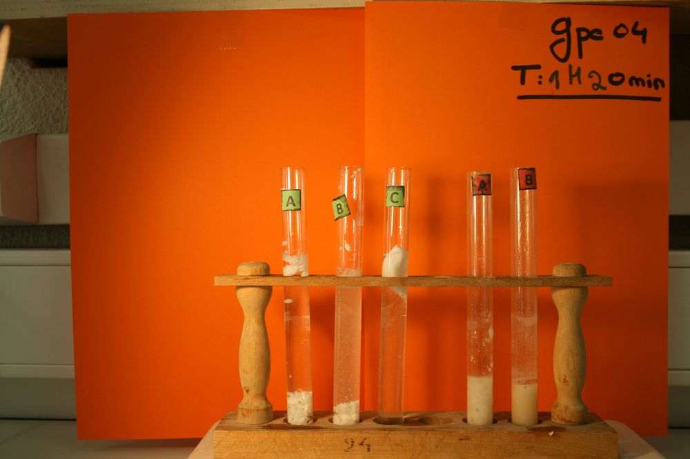 gal/LES_CINQUIEMES/ACTIVITE DIGESTION IN VITRO/Groupe_04/Groupe04_T_01h20min/Groupe04_T_01h_20min_10.JPG